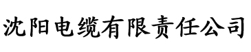 btsou搜索电缆厂logo